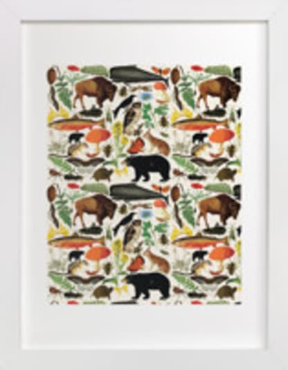 Flora & Fauna 