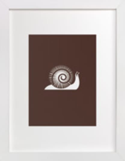 Sophisticated Snail