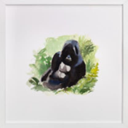 Mountain Gorilla Watercolor