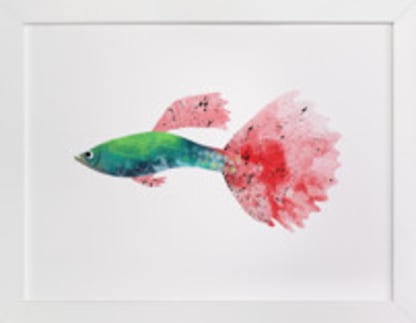 Little Guppy