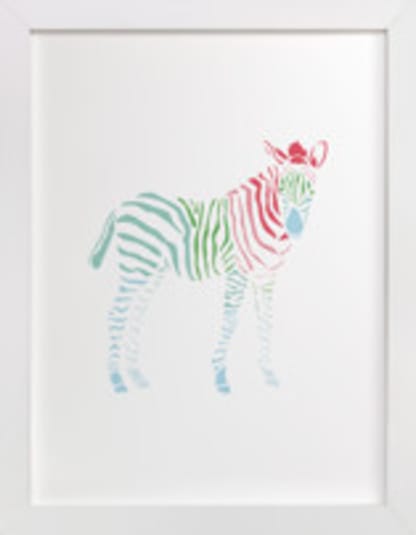 Rainbow Zebra