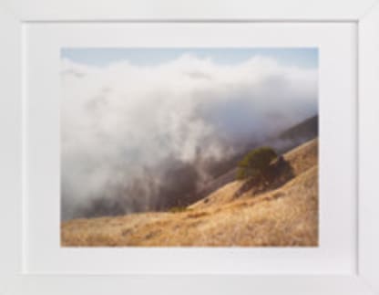 Foggy Summer Hills
