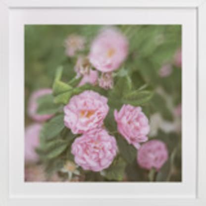 Garden Flowers No. 2