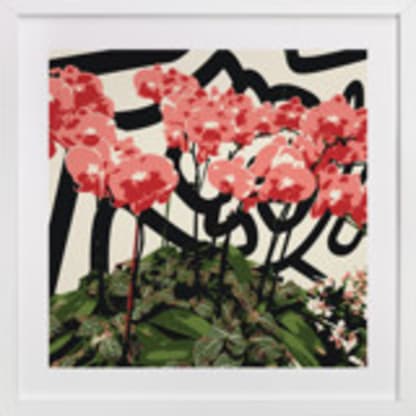 Abstract Orchid Flowers