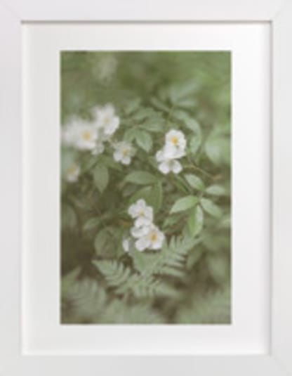 Garden Flowers No. 4