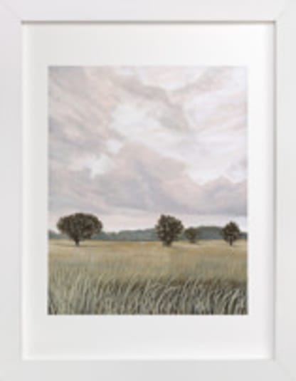 Grasslands