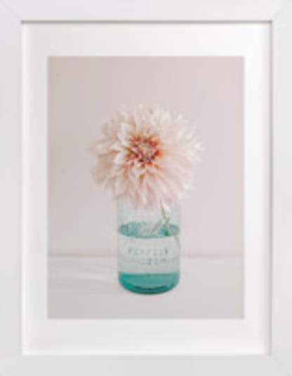 Dinner Plate Dahlia