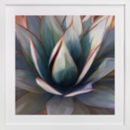 Dreamy Succulent