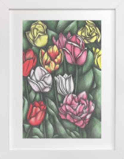 Tulips Field
