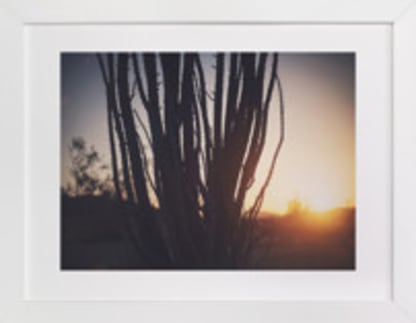 Joshua Tree Sunrise 1