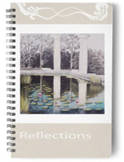 My Reflections