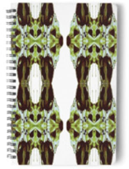 Nothing is the Way it Seems notebook