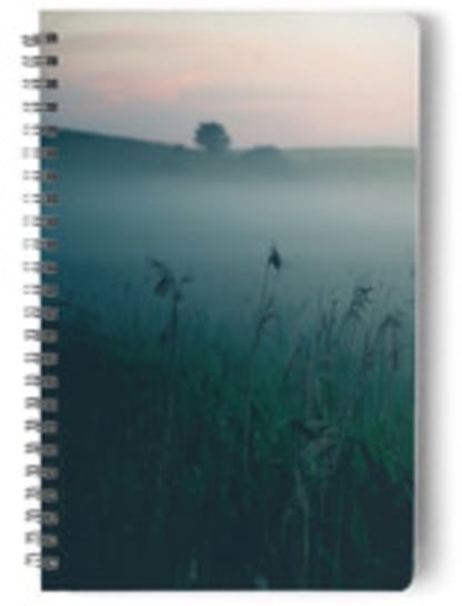 Green meadow
