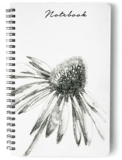 Coneflower