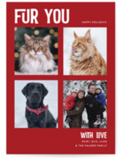 Fur You 4