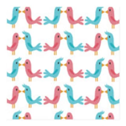 Bird Love