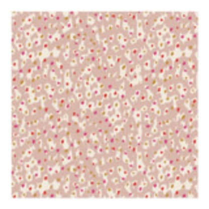 Animal Dot Play