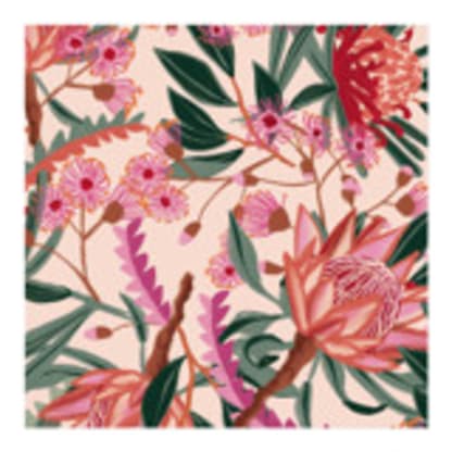 Native Botanicals