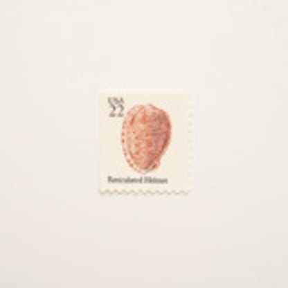 22 Cent Reticulated Helmet Seashell Postage Stamps // Set of 10 // UNUSED