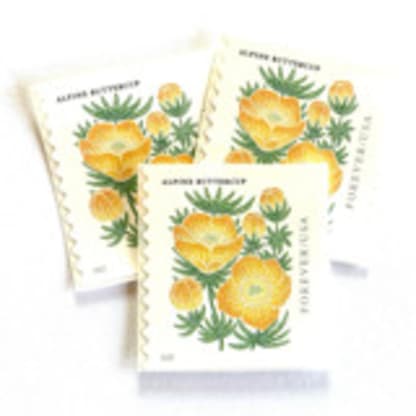 Alpine Buttercup Postage Stamps | Mountain Flora Series | Wedding Stamps | Vintage Unused USPS Postage Forever Stamps | Pack of 10