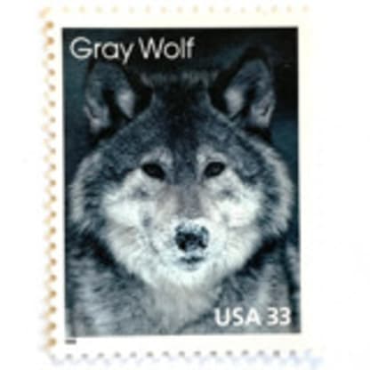 "Gray Wolf" Postage Stamps | Arctic Animals Series | Unused USPS Postage 33c | Pack of 10