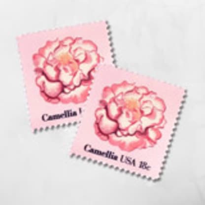 Camellia | Vintage Stamp, 18 cents, 1981 | 5 each