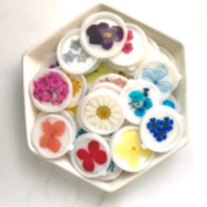 Dried Wildflower Wax Seal, Pack of 10