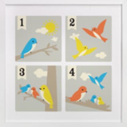Bird Count