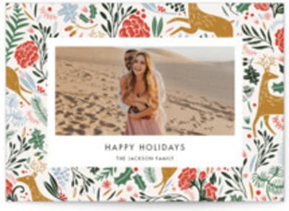 Holiday Forest Photo