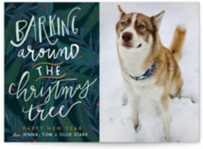 Barking Fun