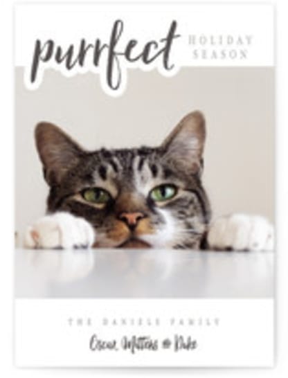 A Purrfect Christmas
