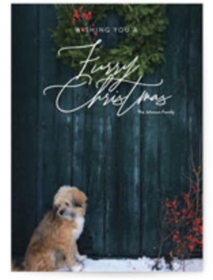 Furry Christmas