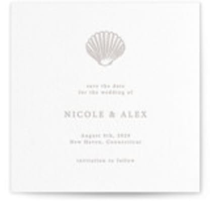 Simple Seashell