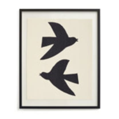 Birds