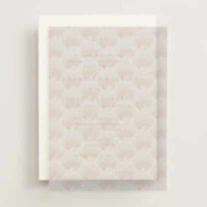 Simple Seashell