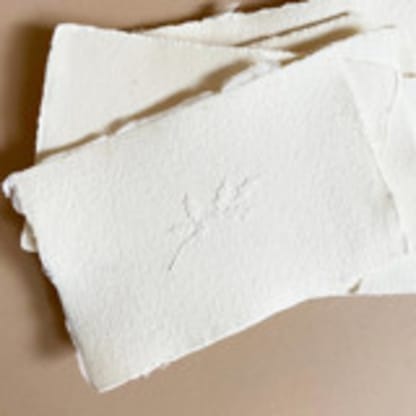 Holiday Holly Branch Embosser