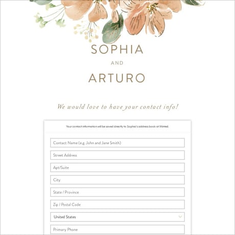 Digital Wedding Address Collection Cards