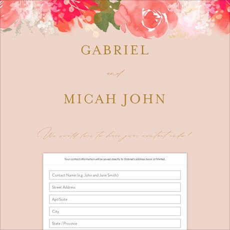 Digital Wedding Address Collection Cards