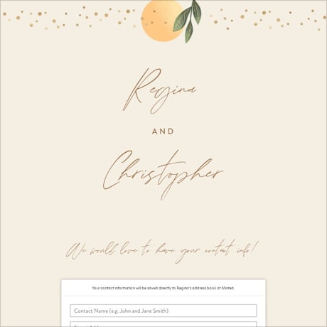 Digital Wedding Address Collection Cards