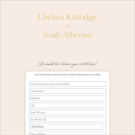 Digital Wedding Address Collection Cards