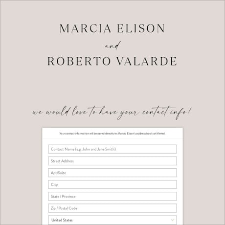 Digital Wedding Address Collection Cards