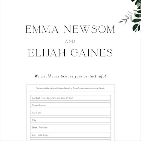 Digital Wedding Address Collection Cards