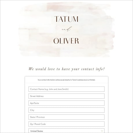 Digital Wedding Address Collection Cards