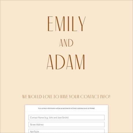 Digital Wedding Address Collection Cards