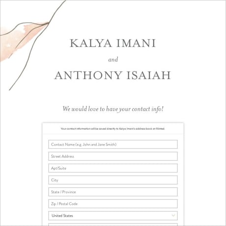 Digital Wedding Address Collection Cards