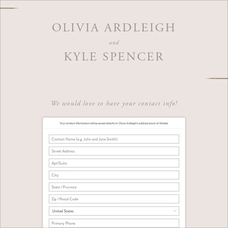Digital Wedding Address Collection Cards