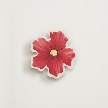 Novelty Enclosure Cards