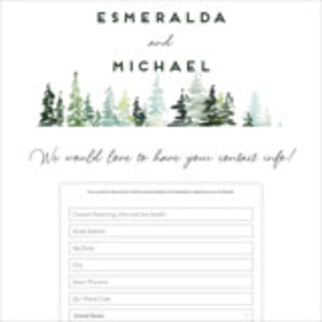 Digital Wedding Address Collection Cards
