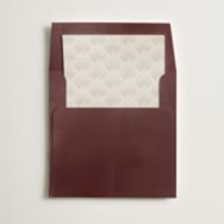 Slip-In Envelope Liners