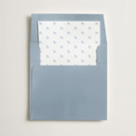 Slip-In Envelope Liners